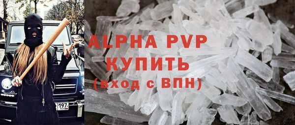 СК Бородино