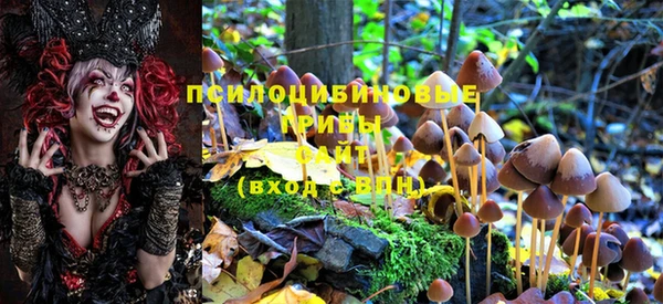 мдпв Бугульма