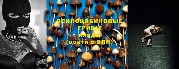 СК Бородино