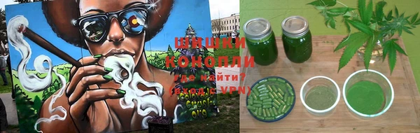 СК Бородино
