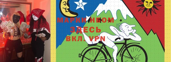 СК Бородино