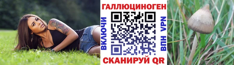 Галлюциногенные грибы Psilocybine cubensis Тобольск
