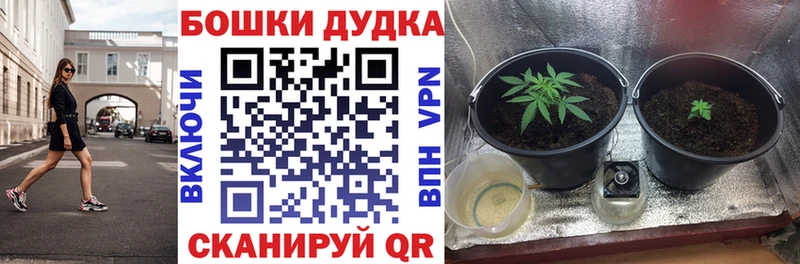 МАРИХУАНА конопля  Тобольск 